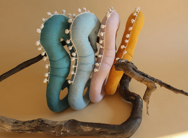 Seahorse