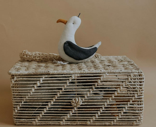 Seagull