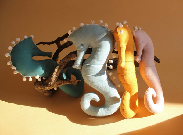 Seahorse