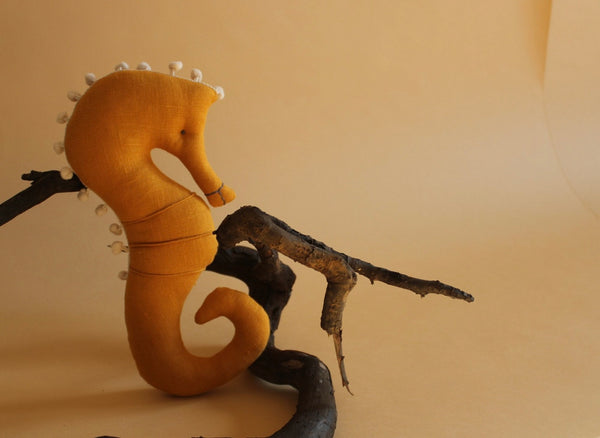 Seahorse